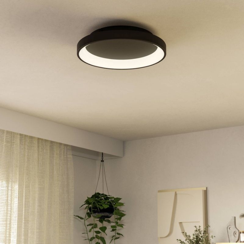 Plastična moderna stropna rasvjeta crna, Shauni, 12 W, LED podesiv od tople do hladne bijele, s daljinskim upravljačem Plastična moderna stropna rasvjeta crna, Shauni, 12 W, LED podesiv od tople do hladne bijele, s daljinskim upravljačem