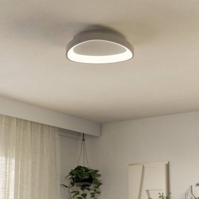 Plastična moderna stropna rasvjeta bijela, Shauni, 12 W, LED podesiv od tople do hladne bijele, s daljinskim upravljačem