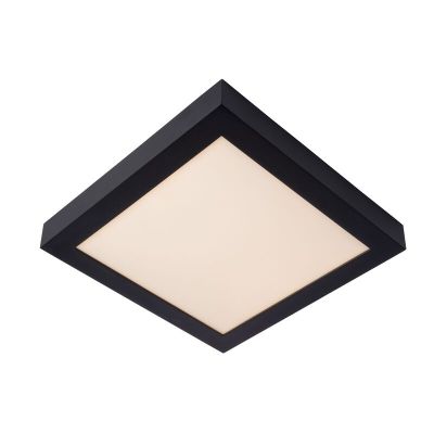 Crna plafonjera moderna, Brice, 30 W, LED 3000 K, IP44