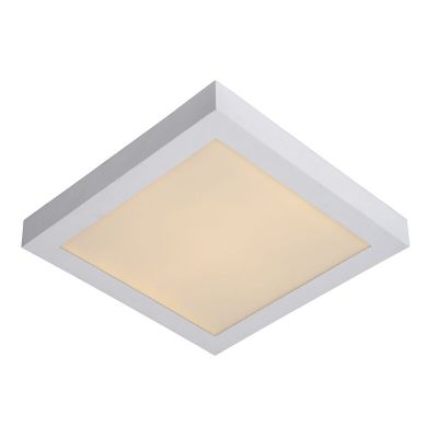 Bijela plafonjera moderna, Brice, 30 W, LED 3000 K, IP44