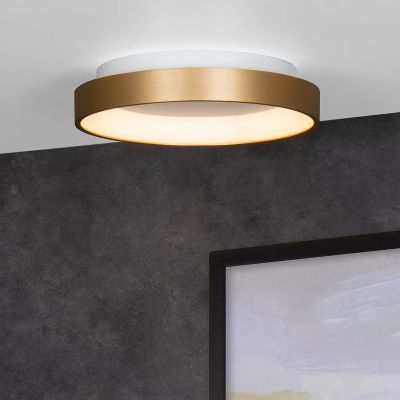 Zlata plafonjera moderna, Vidal, 20 W, LED 2700 K
