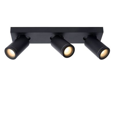 Crni stropni reflektor moderni, Taylor, IP44