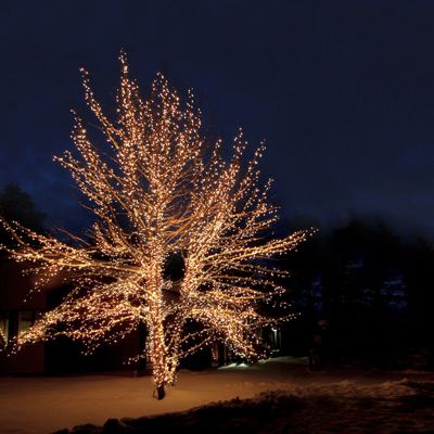 100M crna poveziva lampa za drvce, 10 LED dioda po metru, IP67 - toplo bijela