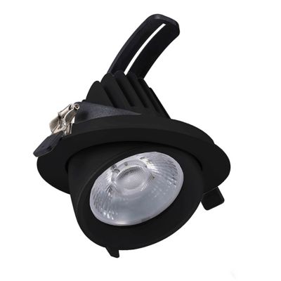Crni downlight aluminijski, Shanaya, 30 W, LED white switch