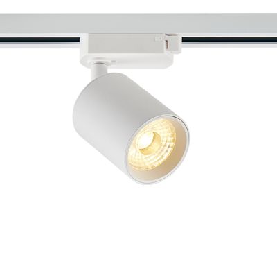Bijeli trofazni reflektor za šine Jayla, 10W, 4000K, Pro