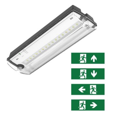 Crna rasvjeta za nuždu uklj. piktograme, Pedram, 3W, 6500K LED, IP66