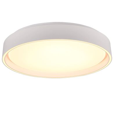 Bijela plafonjera plastična, Felis, 24 W, LED podesiv od tople do hladne bijele