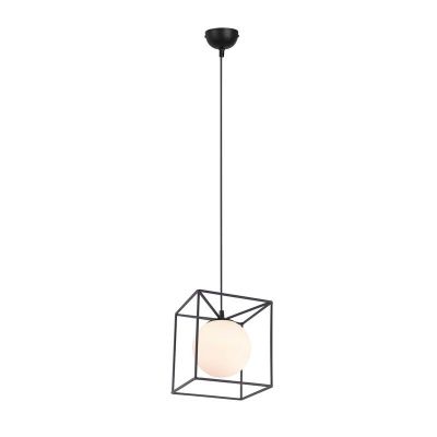 Crna visilica moderna, Muleby
